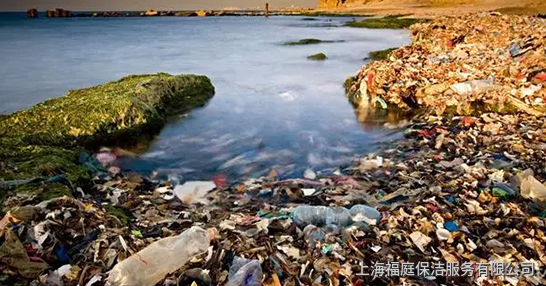 塑料污染 塑料污染